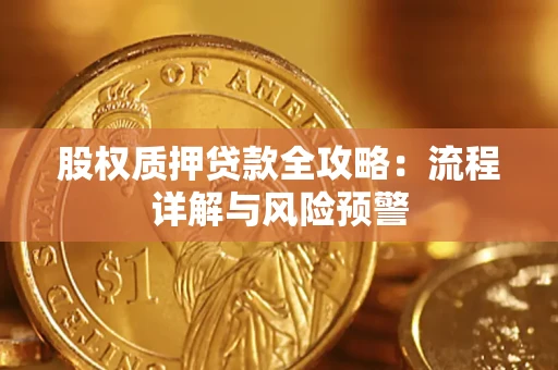 武汉股权质押贷款全攻略：流程详解与风险预警