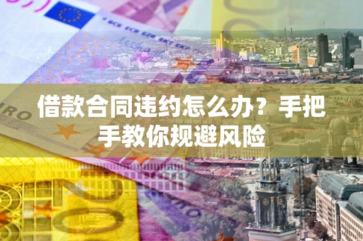 武汉借款合同违约怎么办？手把手教你规避风险