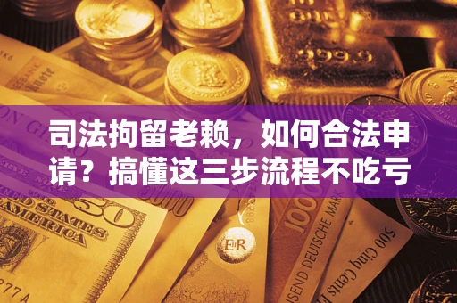 武汉司法拘留老赖，如何合法申请？搞懂这三步流程不吃亏！