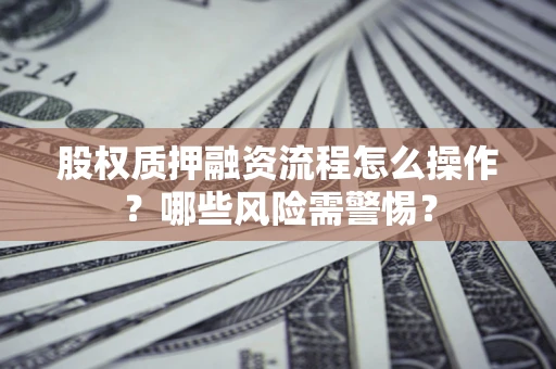 武汉股权质押融资流程怎么操作？哪些风险需警惕？