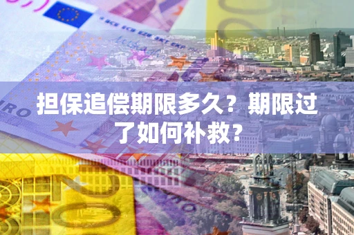 武汉担保追偿期限多久？期限过了如何补救？