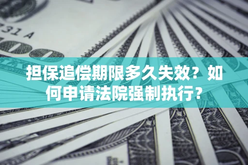 武汉担保追偿期限多久失效？如何申请法院强制执行？