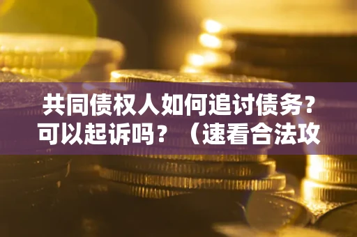 武汉共同债权人如何追讨债务？可以起诉吗？（速看合法攻略）