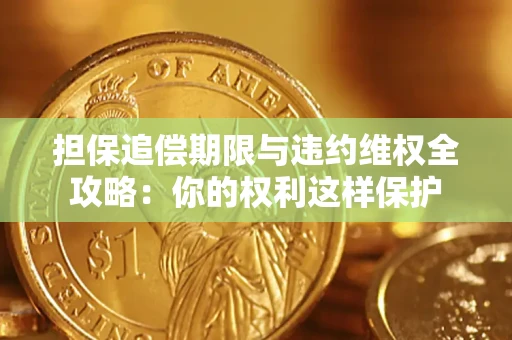 武汉担保追偿期限与违约维权全攻略：你的权利这样保护