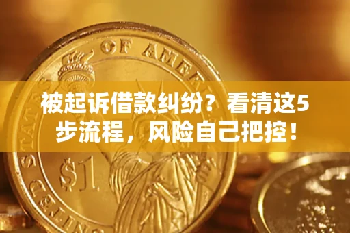 武汉被起诉借款纠纷？看清这5步流程，风险自己把控！