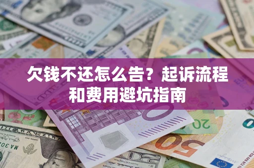 武汉欠钱不还怎么告？起诉流程和费用避坑指南